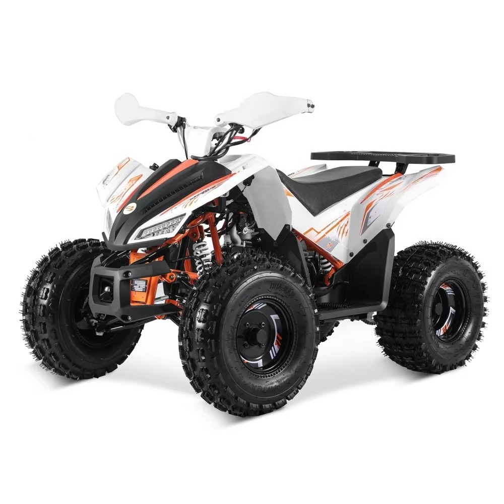 Stlf Tao Motor 2026 Nieuwe Spo - Bike Chain recensie en prijs